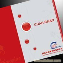 湖南包裝設(shè)計(jì)與軟件開(kāi)發(fā) 塑造品牌形象與數(shù)字化未來(lái)