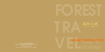 廣告畫冊目錄設計、生產廠家及價格指南，兼談軟件開發關聯性